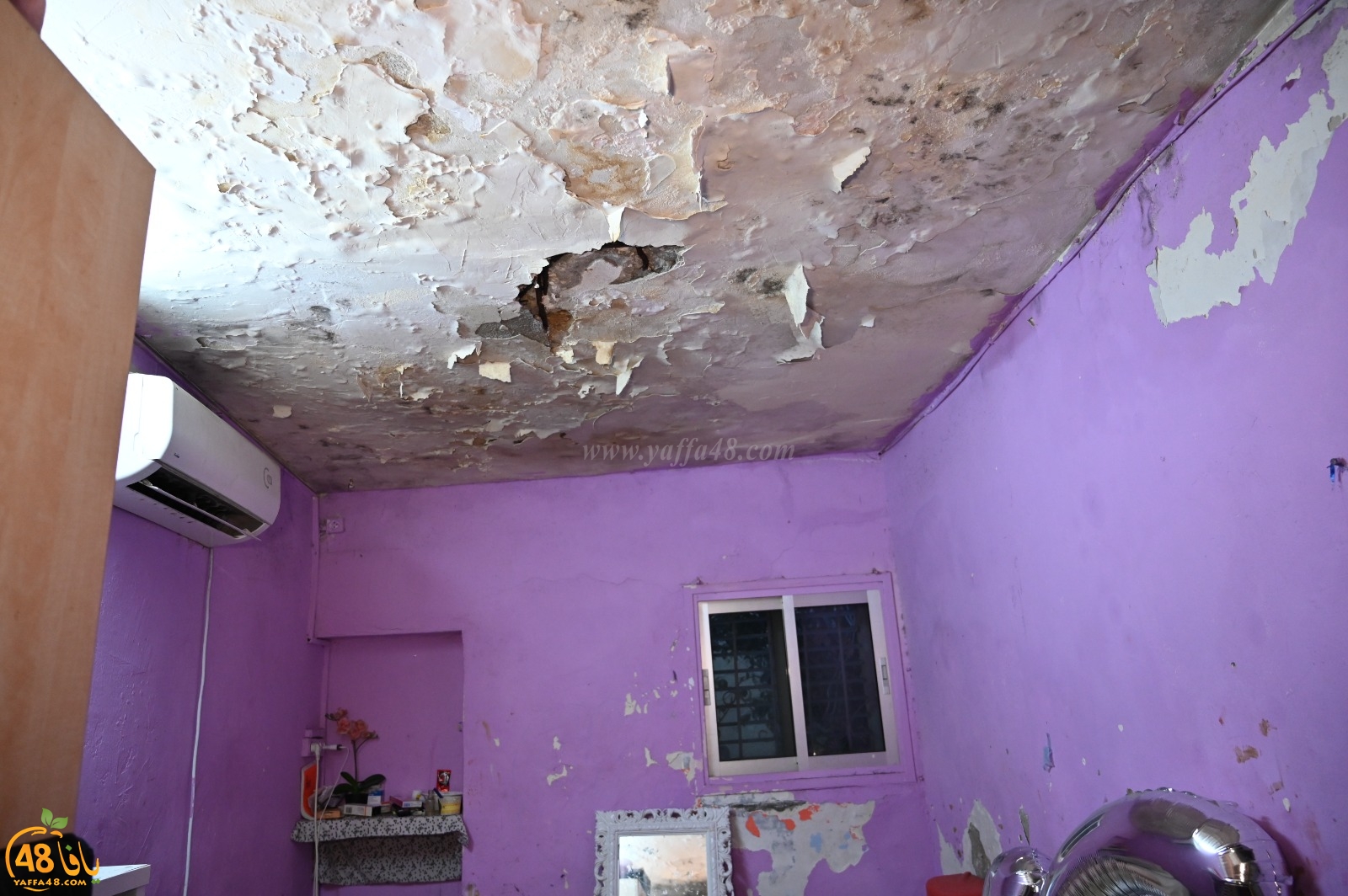 WhatsApp Image 2022-03-06 at 8.47.28 PM.jpg